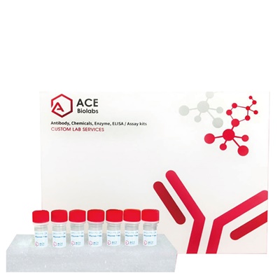 14-3-3 Family Antibody Sampler Kit
