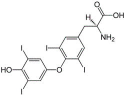 L-Thyroxine