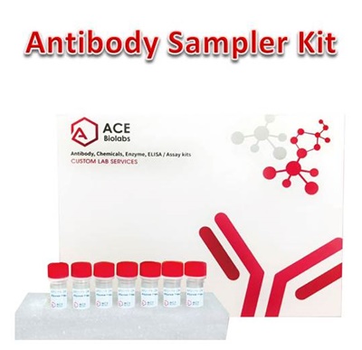 Mitochondrial Marker Antibody Sampler Kit