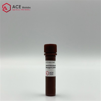 Nanobacteria Removal Reagent (1000X)