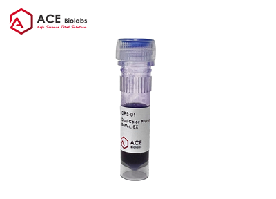 Dual Color Protein Sample Loading Buffer (5X, Odorless)