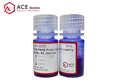 SDS-PAGE Protein Sample Loading Buffer (5X, Odorless)