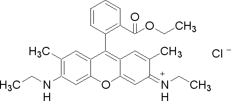 Rhodamine 6G