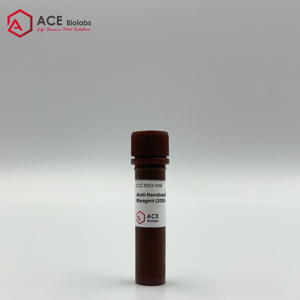 Nanobacteria Removal Reagent (1000X)