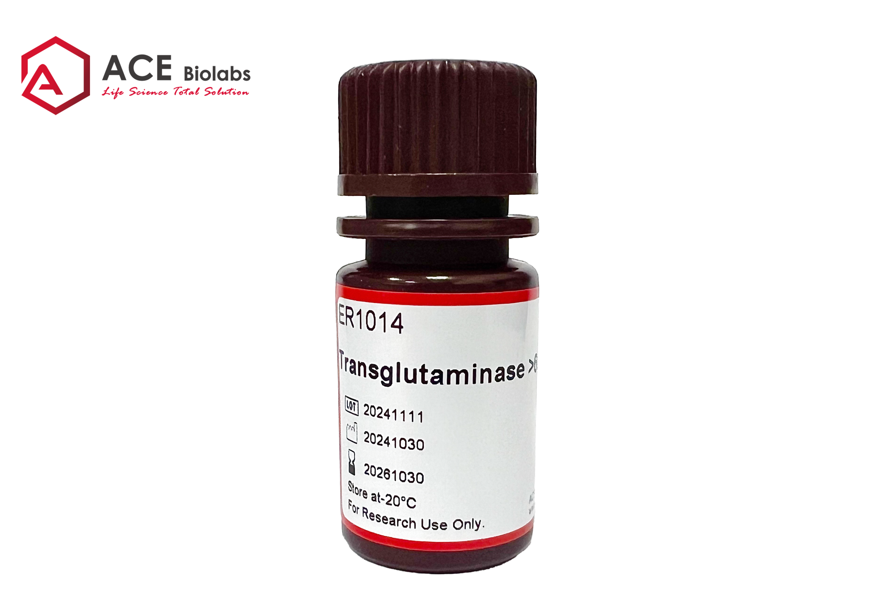 Transglutaminase >6u/mg